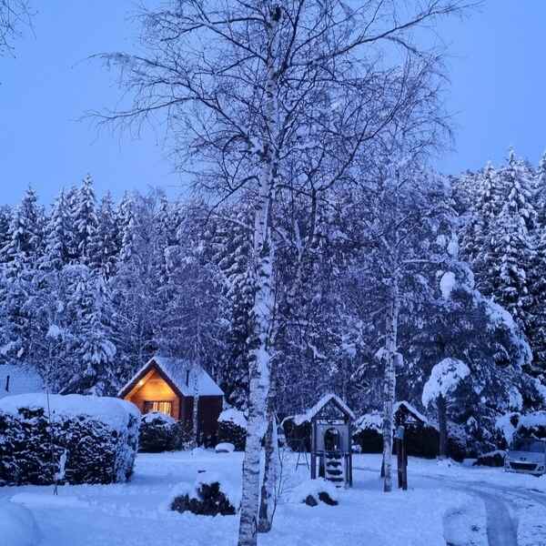 location chalet avec jacuzzi vosges, LE LODGE DE NONO